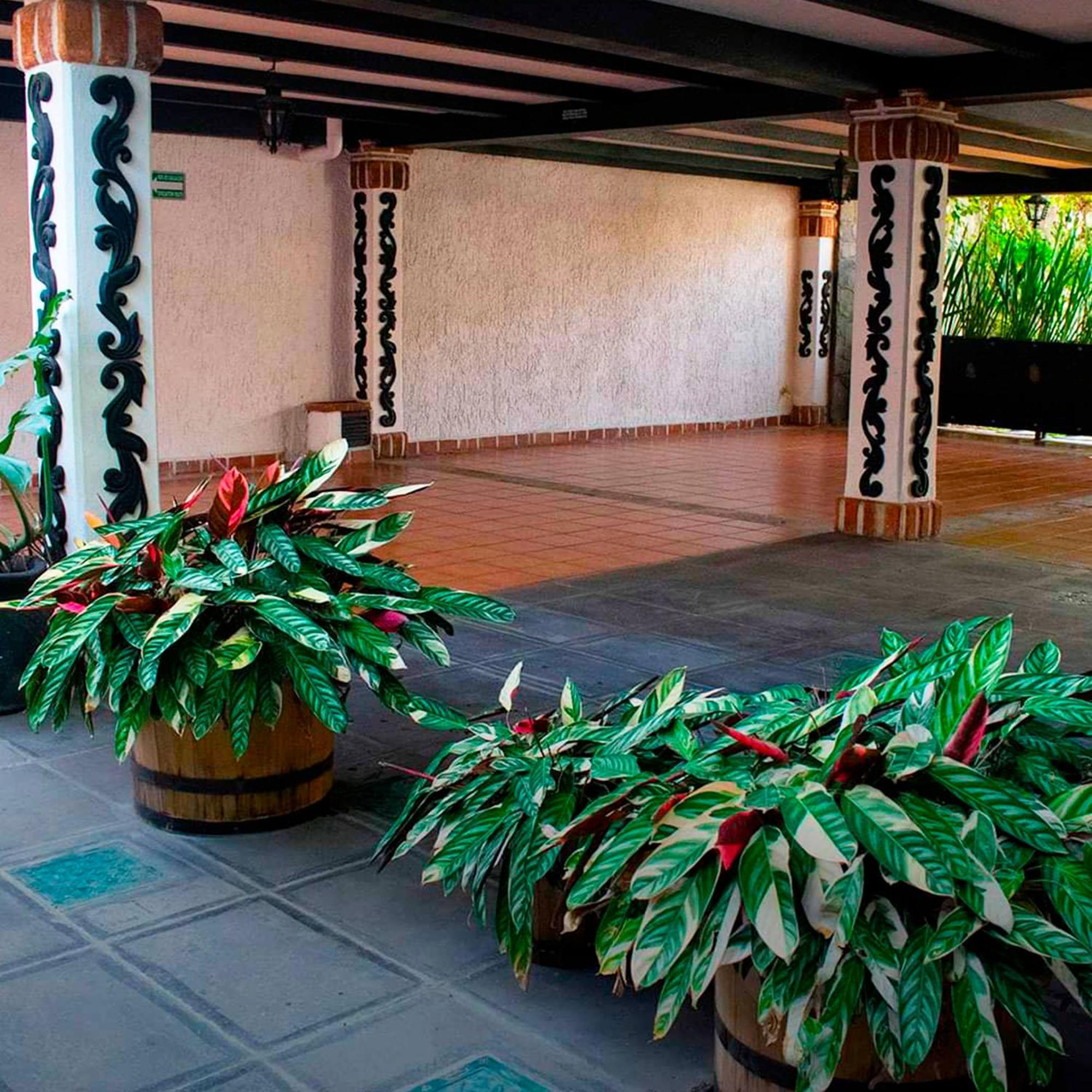 Hotel Boutique La Mansion Guadalajara Extérieur photo